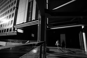 Urban Shadows Walk