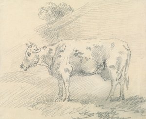 Cow by Sawrey Gilpin