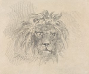 Head of a Lion by Sawrey Gilpin