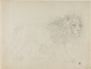 Lion by Sawrey Gilpin