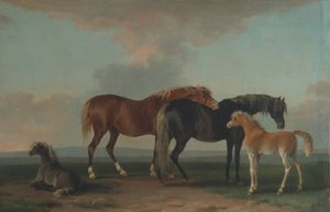 Mares and Foals, Facing Right
