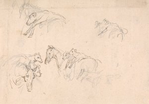 Study of Horses Carrying Calves on their Backs by Sawrey Gilpin