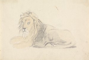 Study of a Lion by Sawrey Gilpin