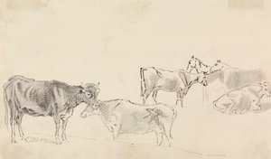 Study of cattle with horses in the background by Sawrey Gilpin