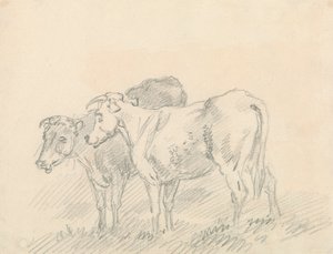 Two Cows by Sawrey Gilpin