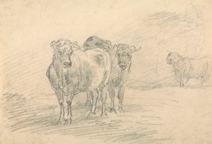 Two Cows on a Hill by Sawrey Gilpin