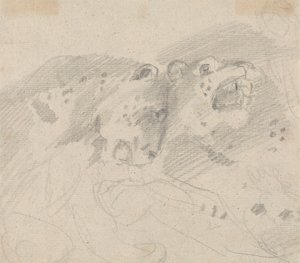 Two Leopards