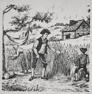 A family harvesting corn