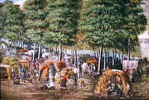 The Miracle of the Quail