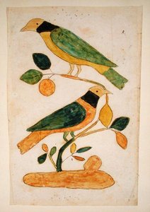 Two Birds