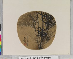 Bamboo