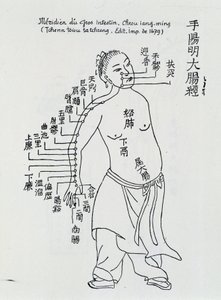 Chinese acupuncture: the large intestine by School Chinese