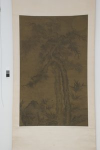 Old Trees Beneath the Moon by School Chinese