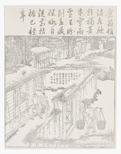 Storing the Rice by School Chinese
