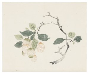Ten Bamboo Series