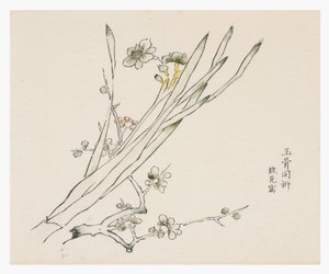 Ten Bamboo Series by School Chinese