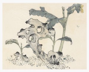 Ten Bamboo Series