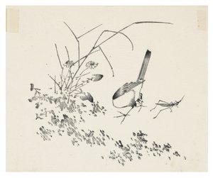 Ten Bamboo Series
