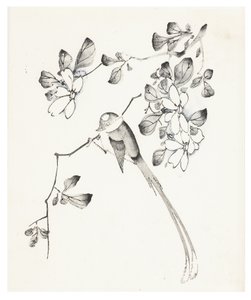 Ten Bamboo Series by School Chinese