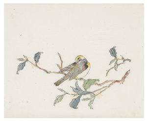 Ten Bamboo Series by School Chinese
