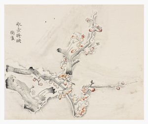 Ten Bamboo Series