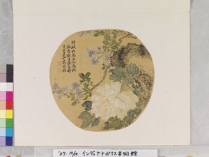 White Peony After Yun Shouping