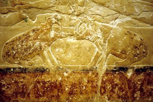 Ancient Egypt, Wall Carving/Painting, Mastaba/Tomb of Idout, Saqqara, 6th Dynasty, Two Hippos Fighting