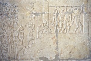 Ancient Egypt, Wall carving/painting, Tomb of Petosiris, Tuna el-Gebel, 300 BC, Wine harvest, Wine making, Wine press by School Egyptian