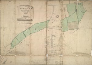 Map of Willesden, London (litho) by School English