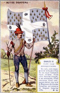 The banner of the Musketeers of Charles IX by School French