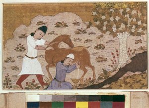 Onager Milking by School Iranian