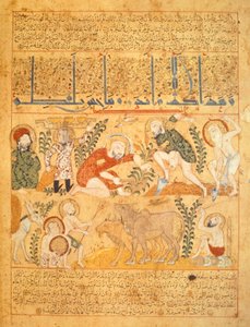 Andromenadros, The Pharmacist, Surveys Agricultural Work by School Iraqi