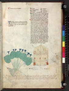 Tractatus de herbis (Herbal) by School Italian