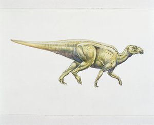 Hadrosaurid or duck-billed dinosaur