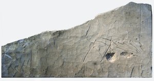 Hebrew Burial Inscription from Beth Loya, Judean Foothills, Israel, 6th Century BC by School Levantine