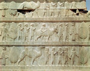 Detail of the relief frieze on the East stairway to the Apadana depicting delegates from the subject lands of the empire bearing lavish gifts for a ceremony, Achaemenian period by School Persian