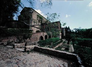 View of the garden