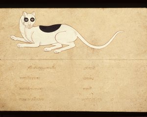 Leaf of a Manuscript on Siamese Cats, Early 20th Century
