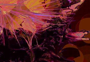 Artichoke Abstract Horizontal 6
