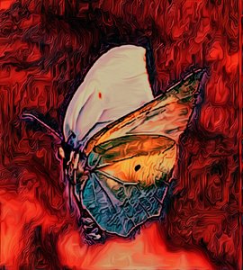 Butterfly, 2021