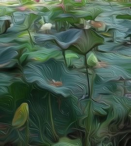 Lily Pond by Scott J. Davis