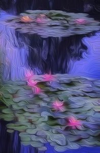 Lily Pond