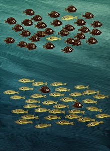 Fish by Scott McKowen