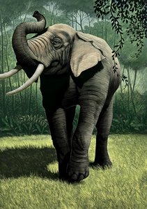 The Jungle Book by Scott McKowen