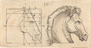 Two Horse Heads by Sebald Beham