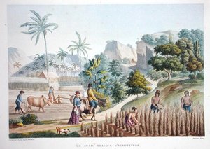 Farm workers, Guam, Philippines, from 
