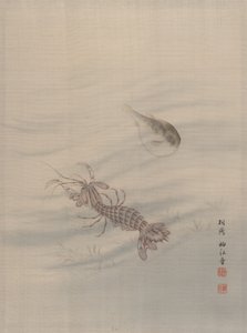 Bottom of the Sea Showing Cray Fish, ca. 1890-92