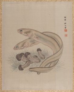 Eels by Seki Shuko