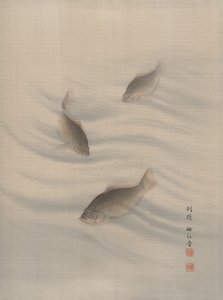 Fishes Swimming
