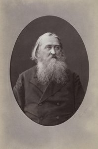 Portrait of the poet Aleksey Nikolayevich Pleshcheyev by Sergei Lvovich Levitsky